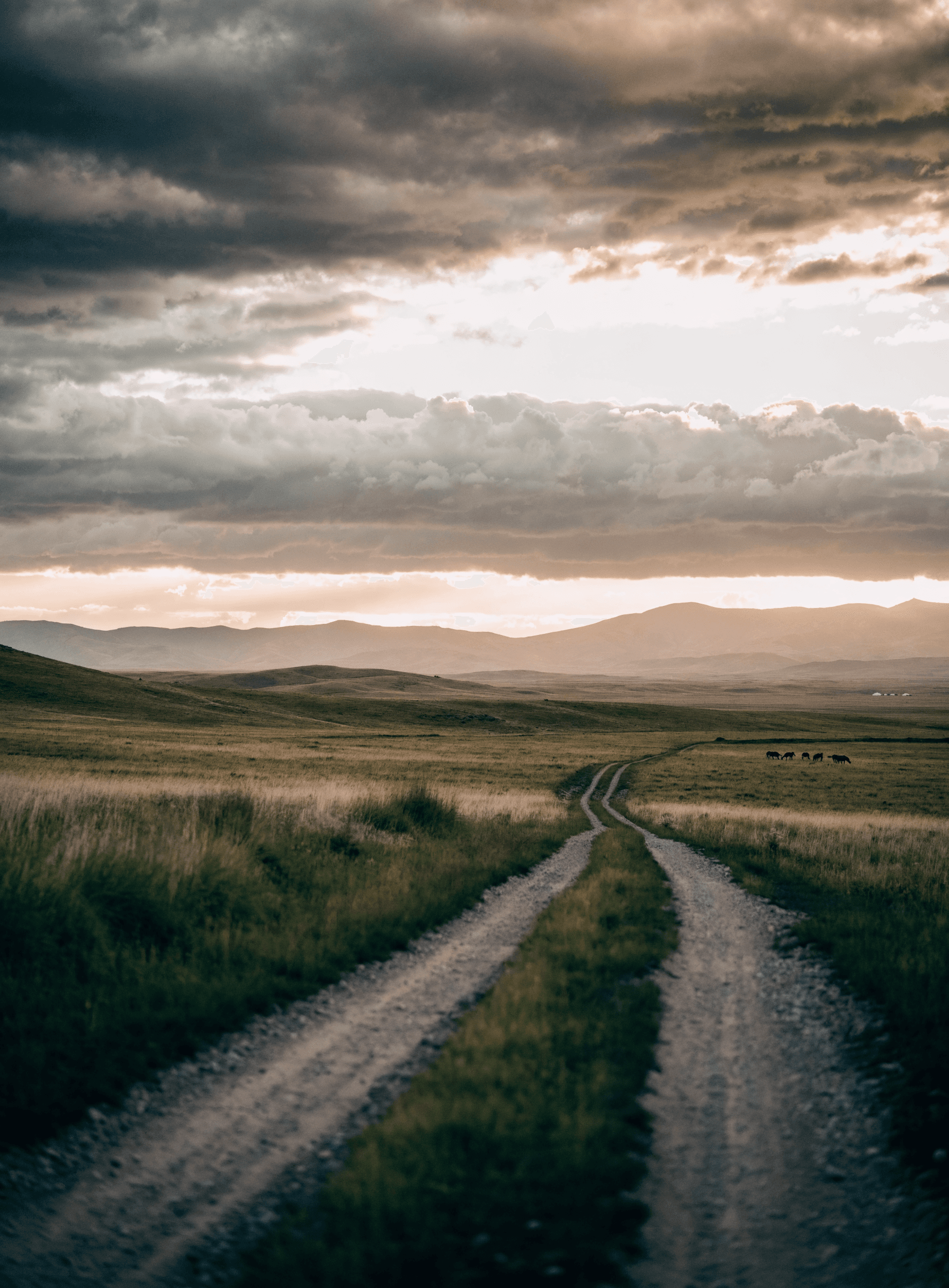 A remote dirt track crossing the open Mongolian steppe under a dramatic sky